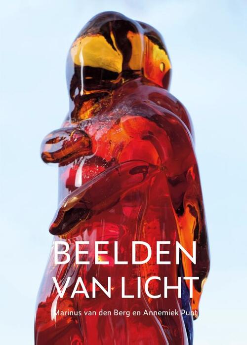 Beelden Van Licht Annemiek Punt Marinus Van Den Berg Boek