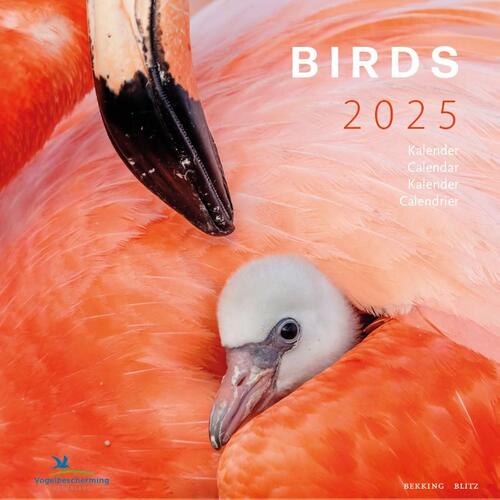 Birds maandkalender 2025, Vogelbescherming, Bekking & Blitz Uitg