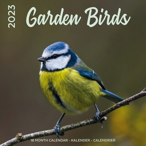 Kalender 2023 Garden Birds Kalender 8720634930505 Bruna