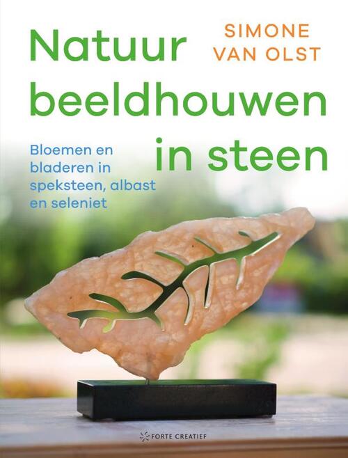 Natuur beeldhouwen in steen -  Simone van Olst (ISBN: 9789000385393)