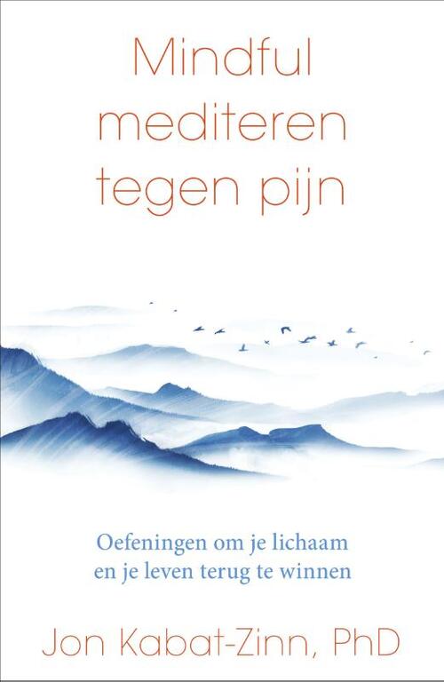 Mindful Mediteren Tegen Pijn Jon Kabat Zinn Boek 9789000388547 Bruna