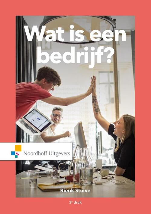 Wat is een bedrijf? -  Rienk Stuive (ISBN: 9789001898915)