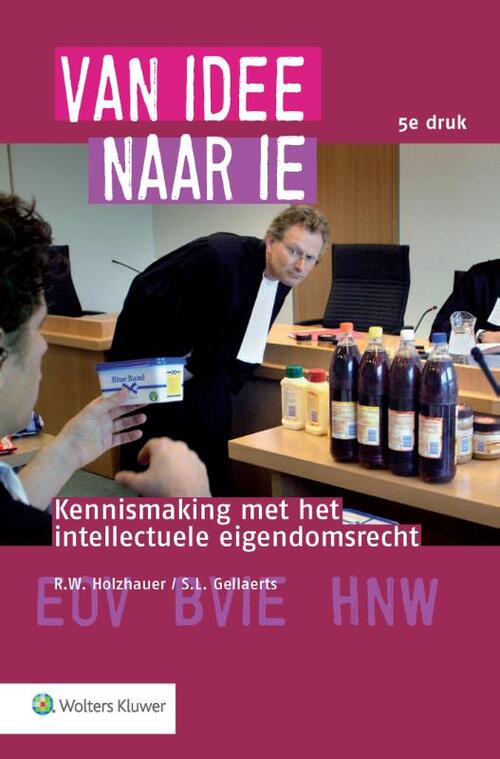 Van idee naar IE -  R.W. Holzhauer, S.L. Gellaerts (ISBN: 9789013141504)