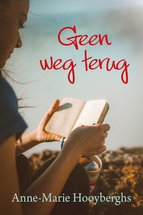 Geen weg terug -  Anne-Marie Hooyberghs (ISBN: 9789020536089)