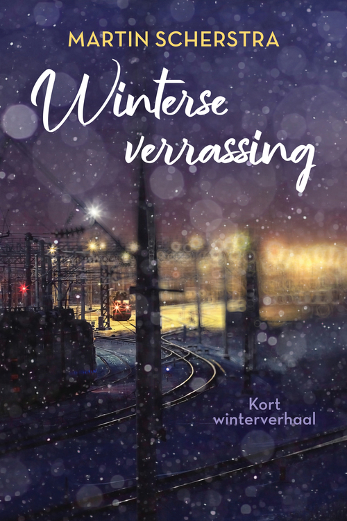 Winterse verrassing -  Martin Scherstra (ISBN: 9789020548846)