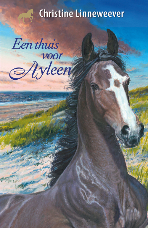 Christine Linneweever Een thuis voor Ayleen -   (ISBN: 9789020634853)