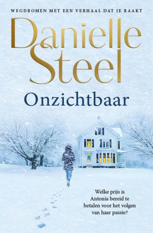 Onzichtbaar, Danielle Steel Boek 9789021045450 Bruna