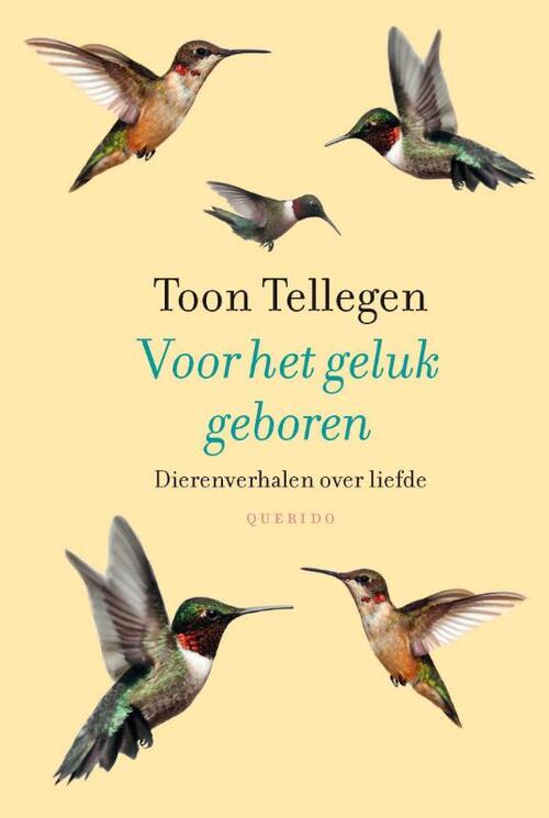 Voor Het Geluk Geboren Toon Tellegen Boek 9789021455280 Bruna 