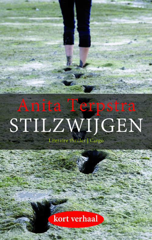 Stilzwijgen -  Anita Terpstra (ISBN: 9789023482604)