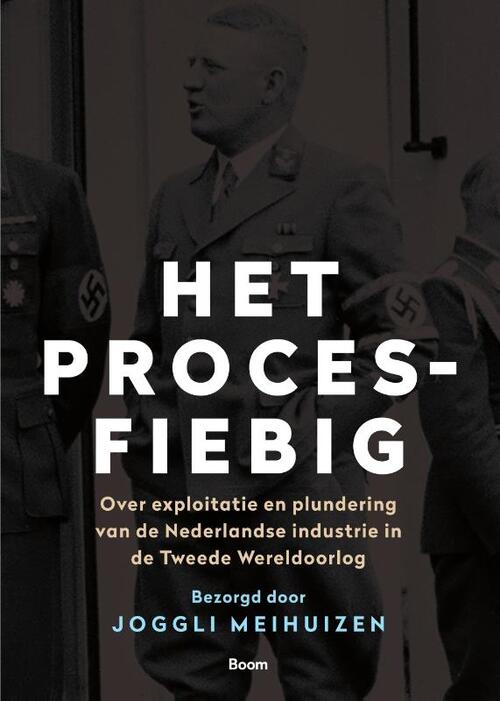 Het Proces-Fiebig -  Joggli Meihuizen (ISBN: 9789024422555)