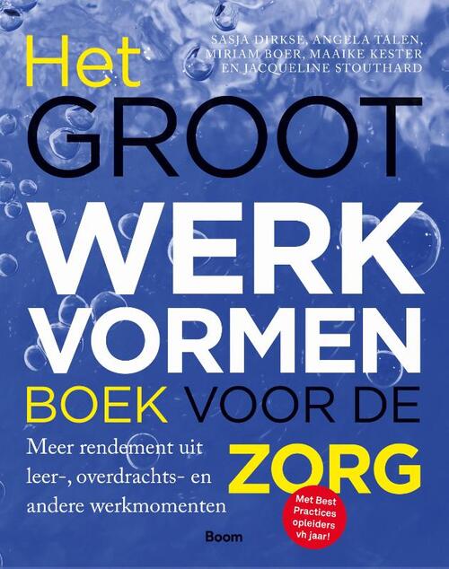 Het groot werkvormenboek voor de zorg -  Angela Talen (ISBN: 9789024427482)