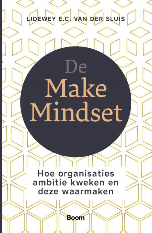 Lidewey van der Sluis De Make Mindset -   (ISBN: 9789024463275)