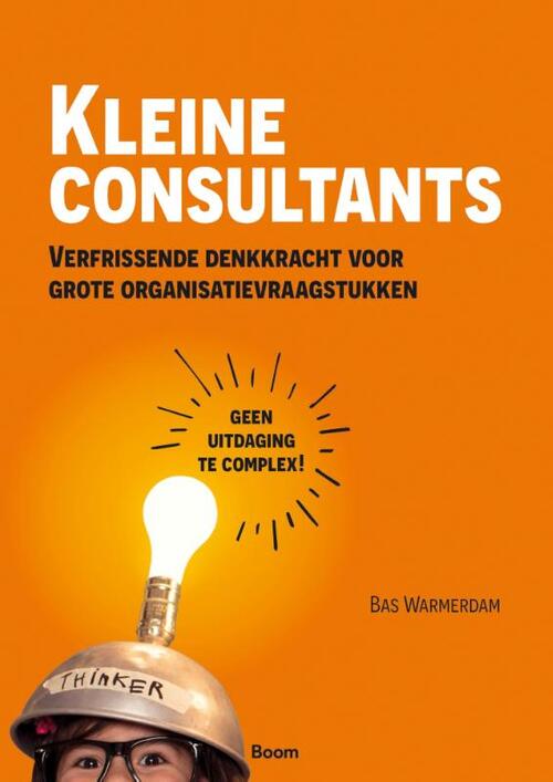 Bas Warmerdam Kleine consultants -   (ISBN: 9789024467570)