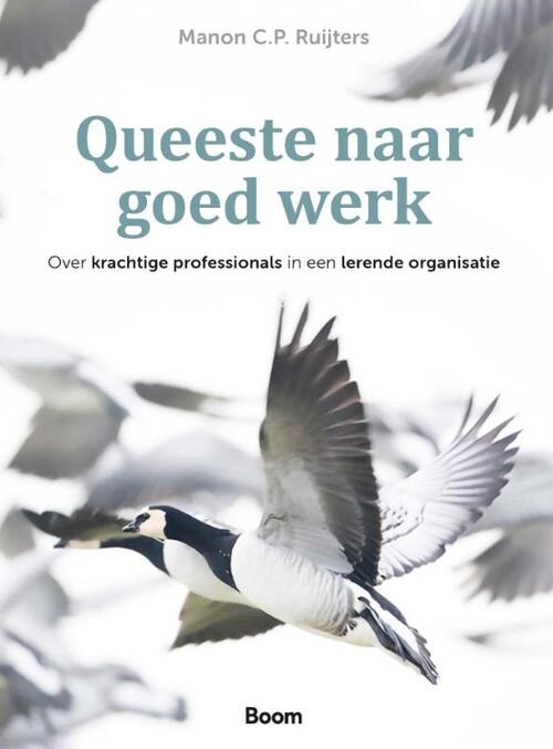 M.C.P. Ruijters Queeste naar goed werk -   (ISBN: 9789024469871)