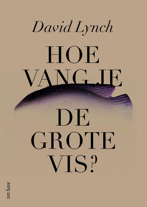 hoe-vang-je-de-grote-vis-david-lynch-boek-9789025907099-bruna