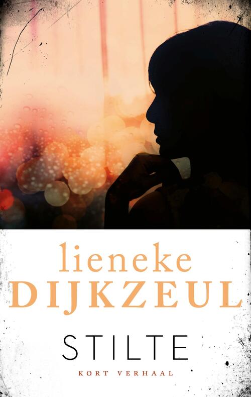 Stilte -  Lieneke Dijkzeul (ISBN: 9789026348297)