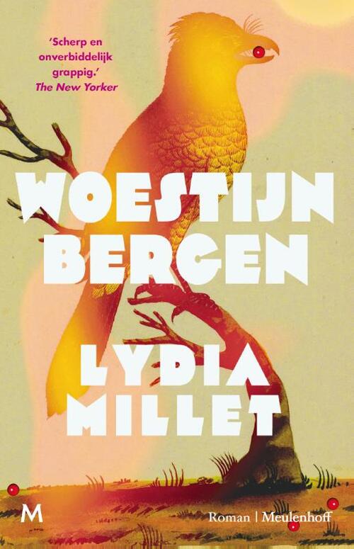 Lydia Millet Woestijnbergen -   (ISBN: 9789029098090)