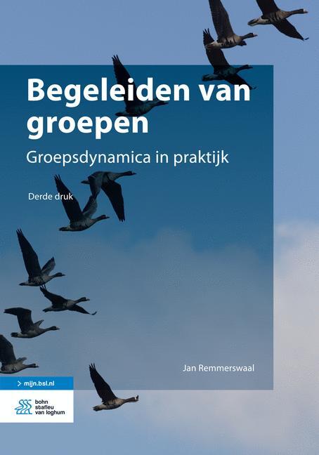 Begeleiden van groepen -  Jan Remmerswaal (ISBN: 9789036807241)