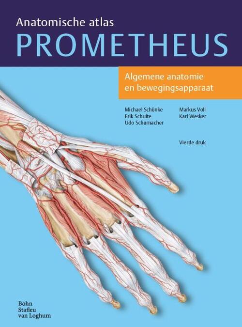 Algemene anatomie en bewegingsapparaat -  Erik Schulte, Michael Schünke, Udo Schumacher (ISBN: 9789036815383)