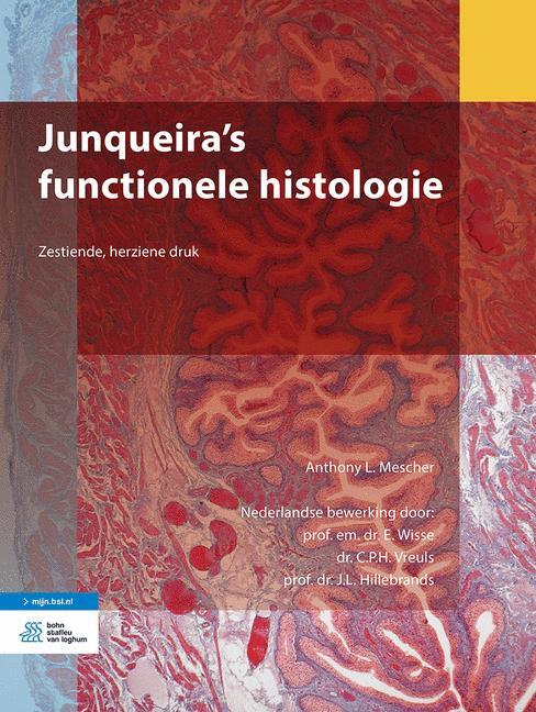 Junqueira's functionele histologie -  Anthony L. Mescher (ISBN: 9789036820240)