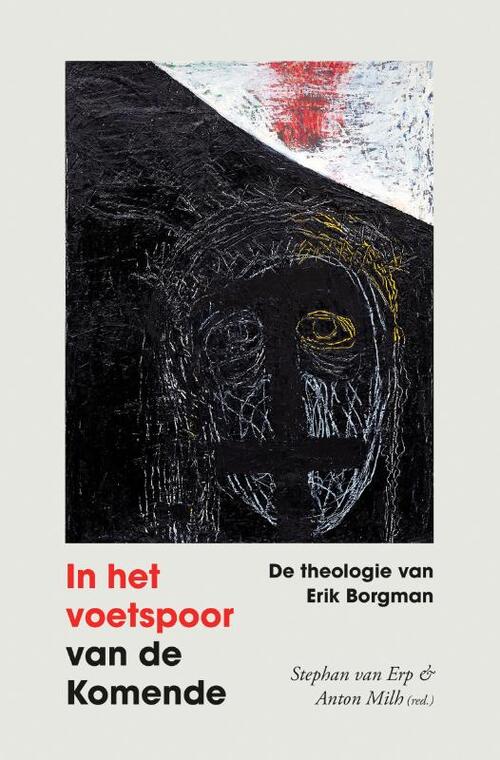 Anton Milh, Stephan van Erp In het voetspoor van de komende -   (ISBN: 9789043541992)