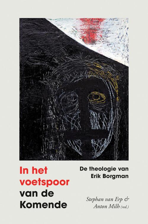 Anton Milh, Stephan van Erp In het voetspoor van de komende -   (ISBN: 9789043542005)