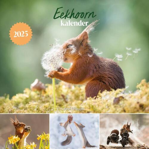 Eekhoorn kalender, Geert Weggen Boek 9789043931748 Bruna