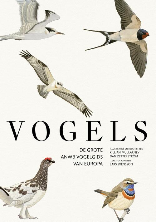 Vogels -  Dan Zetterström, Killian Mullarney, Lars Svensson (ISBN: 9789043935142)