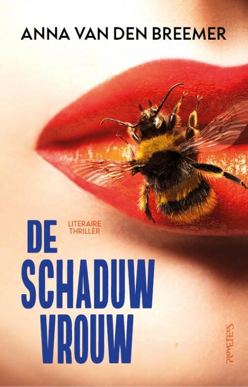 Anna van den Breemer De schaduwvrouw -   (ISBN: 9789044655568)