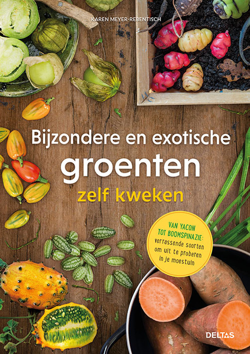 Feodaal vlees spellen Bijzondere en exotische groenten zelf kweken, Karen Meyer-Rebentisch |  9789044759129 | Boek - bruna.nl