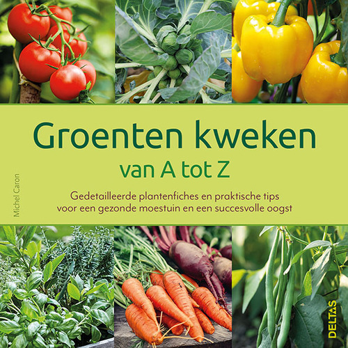 Trots Ontcijferen Uitsteken Groenten kweken van A tot Z, Michel Caron | 9789044760040 | Boek - bruna.nl