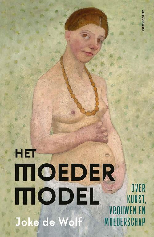 Joke de Wolf Het moedermodel -   (ISBN: 9789045046655)