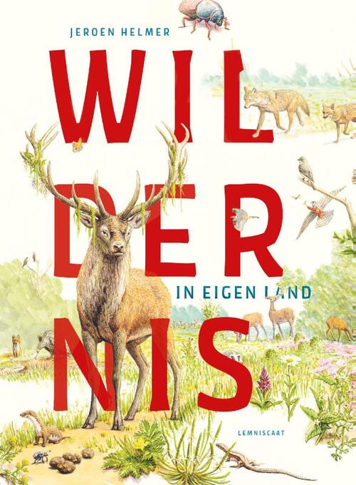 Wildernis in eigen land -  Jeroen Helmer (ISBN: 9789047716877)