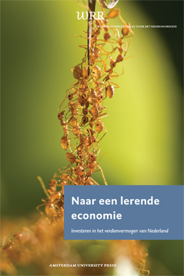 Naar een lerende economie -   (ISBN: 9789048522903)