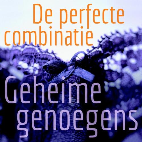 De perfecte combinatie -  Lonnie Barbach (ISBN: 9789049802882)