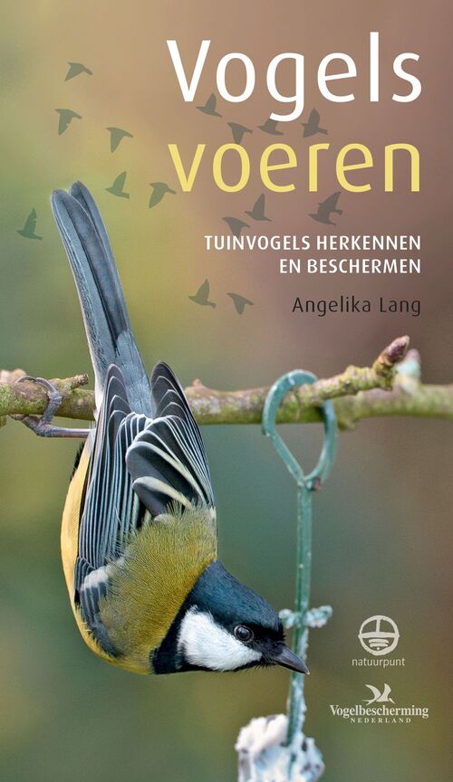 schroef reservering laser Vogels voeren eBook, Angelika Lang | 9789052109701 | Alle huis, tuin & dier  - bruna.nl