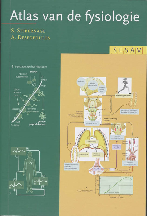 Sesam Atlas van de fysiologie -  S. Silbernagl (ISBN: 9789055745883)