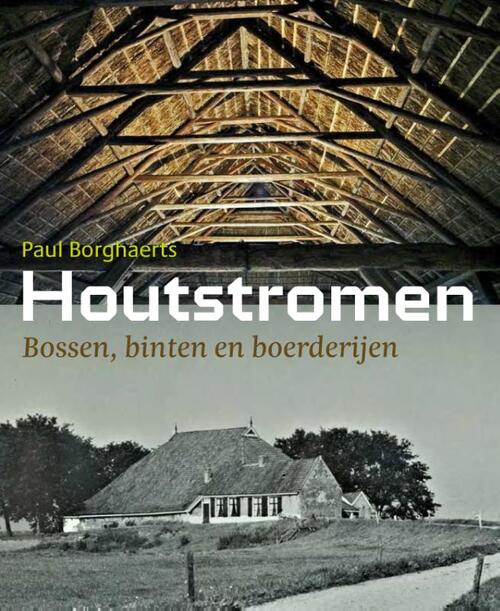 Houtstromen -  Paul Borghaerts (ISBN: 9789056156886)