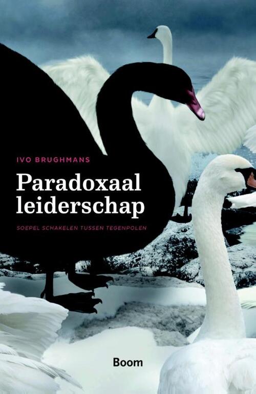 Paradoxaal leiderschap -  Ivo Brughmans (ISBN: 9789058754479)