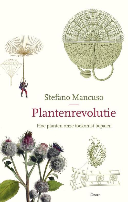 Plantenrevolutie -  Stefano Mancuso (ISBN: 9789059367845)