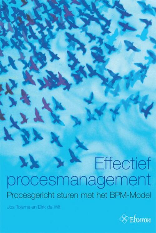 Effectief procesmanagement -  Dirk de Wit, Jos Tolsma (ISBN: 9789059722903)