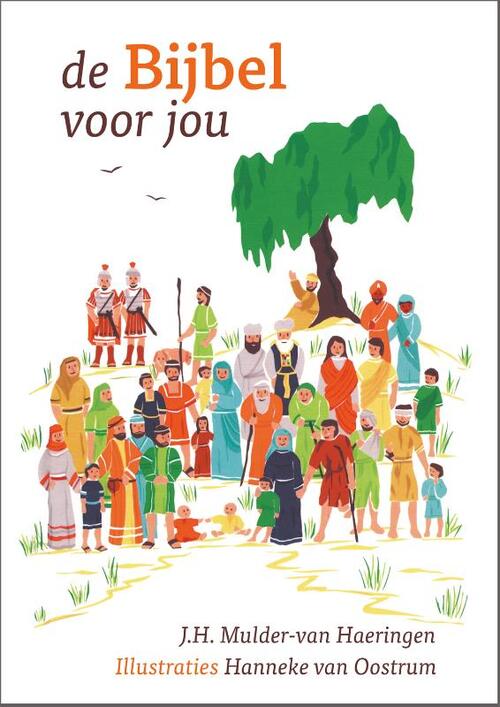 De Bijbel voor jou -  J.H. Mulder-van Haeringen (ISBN: 9789065394965)