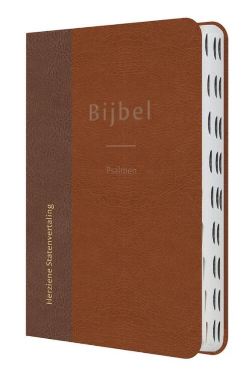 Bijbel met psalmen -   (ISBN: 9789065395399)