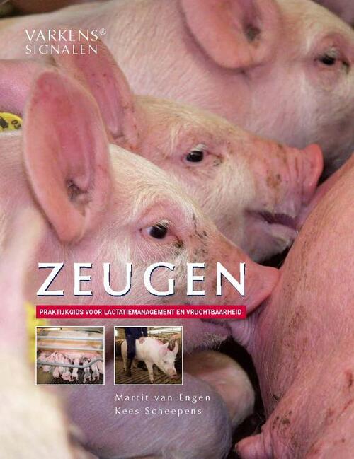 Zeugen -  Kees Scheepens, Marrit van Engen (ISBN: 9789075280913)