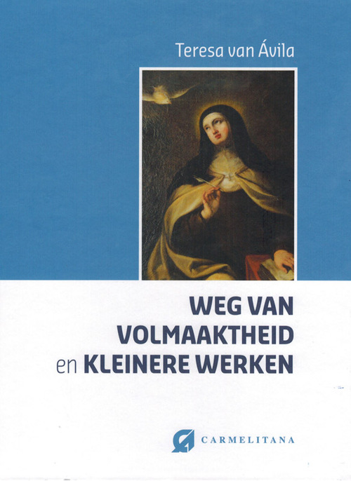 Weg van volmaaktheid en kleinere werken -  Teresa van Avila (ISBN: 9789076671918)