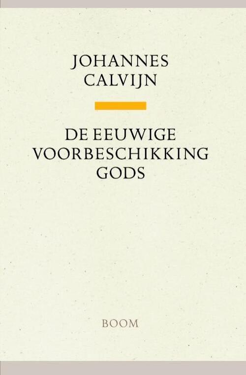 De eeuwige voorbeschikking Gods -  Johannes Calvijn (ISBN: 9789085067993)