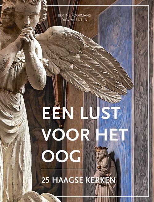 Een lust voor het oog -  Botine Koopmans (ISBN: 9789087049089)