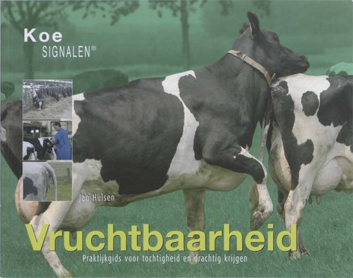 Vruchtbaarheid -  B. Klein Swormink, Jan Hulsen (ISBN: 9789087400118)