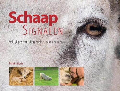 Schaapsignalen -  Berrie Klein Swormink (ISBN: 9789087401054)