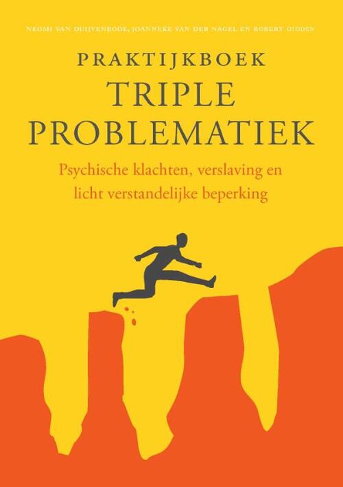 Praktijkboek triple problematiek -  Joanneke van der Nagel (ISBN: 9789088508226)